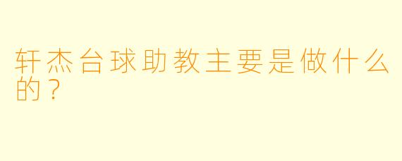 轩杰台球助教主要是做什么的？