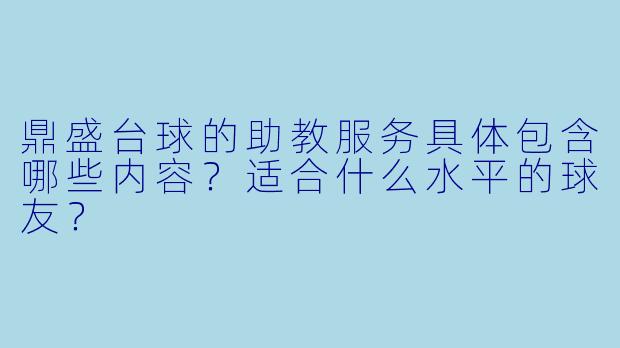 鼎盛台球的助教服务具体包含哪些内容?适合什么水平的球友?