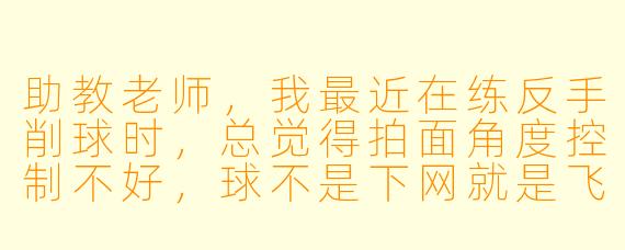 助教老师，我最近在练反手削球时，总觉得拍面角度控制不好，球不是下网就是飞出界，到底应该怎么调整才稳定？