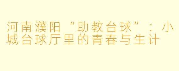 河南濮阳“助教台球”:小城台球厅里的青春与生计