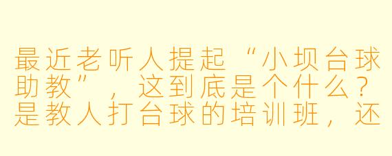 最近老听人提起“小坝台球助教”,这到底是个什么?是教人打台球的培训班,还是别的什么?