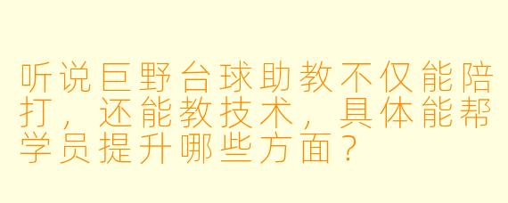 听说巨野台球助教不仅能陪打,还能教技术,具体能帮学员提升哪些方面?