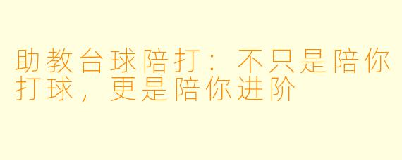 助教台球陪打:不只是陪你打球,更是陪你进阶