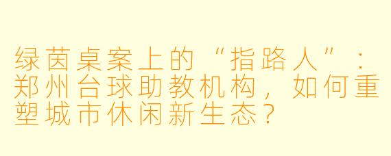 绿茵桌案上的“指路人”:郑州台球助教机构,如何重塑城市休闲新生态?