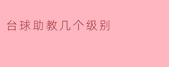 台球助教几个级别