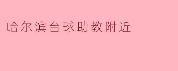 哈尔滨台球助教附近